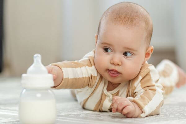prodotti per bambini a brugine padova prodotti per bambini a brugine padova